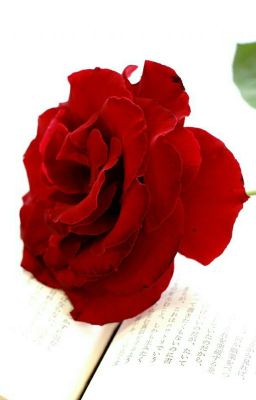 Не отпущу.....