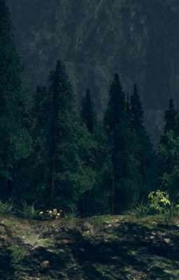 🚫ОПАСНОСТЬ🚫