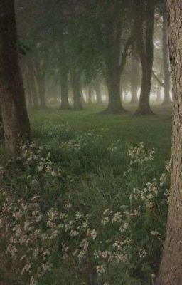 Когда умирают совы