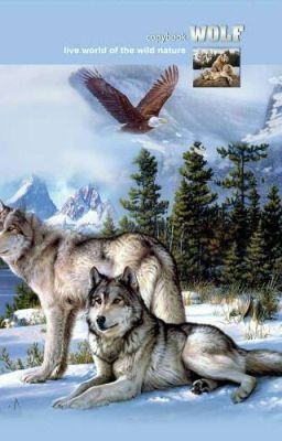 Одна на двоих