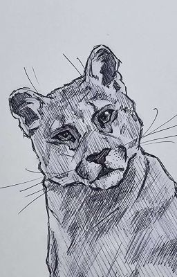 О хищнике и даре 