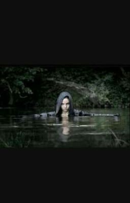 И тихий мой дом