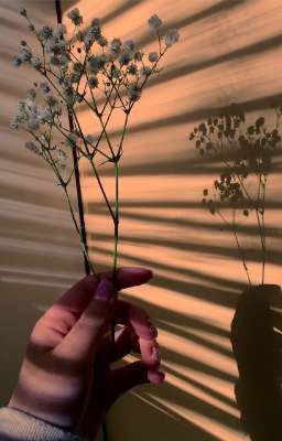 Жизнь игра-играй красиво) 