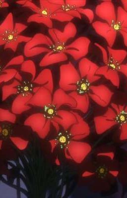 "Страна грёз"