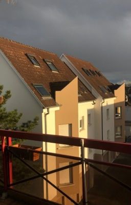 Было ли это просто «иллюзией»?