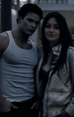 Сумерки. Затмение. Искра тьмы. 