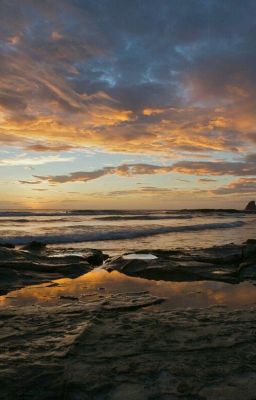 Люди на болоте .Иван Мележ