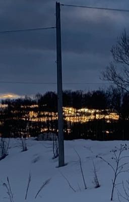 Новая жизнь