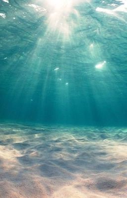 Второй Шанс