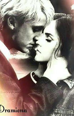 Не возможная любовь