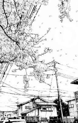 𝐫𝐞𝐚𝐜𝐭𝐢𝐨𝐧𝐬 𝐭𝐨𝐤𝐢𝐨 𝐫𝐞𝐯𝐞𝐧𝐠𝐞𝐫𝐬