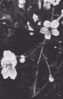 Smile to say goodbye