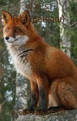 Бальгеон Доен