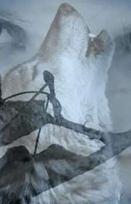 Я  нашла тебя.