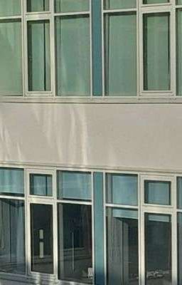 ✧ Два чувства ✧