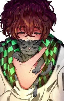 Лололошка в мир бродячих псов