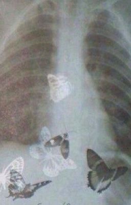 Вечно Худеющая