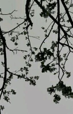 Что может быть лучше кофе с молоком?