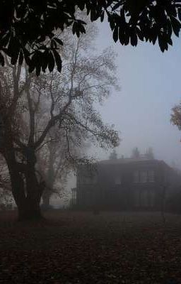 Эра_Выживших