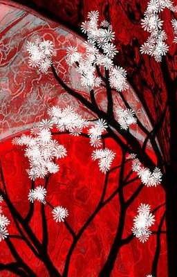 Ночь под кровавой луной