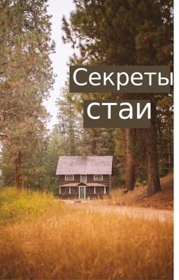 Секреты стаи