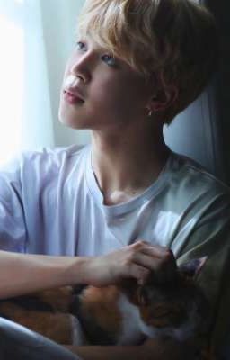 Удача в найденном коте[ЗАВЕРШЁН]