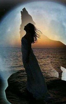 Брак по Волчьему Расчёту