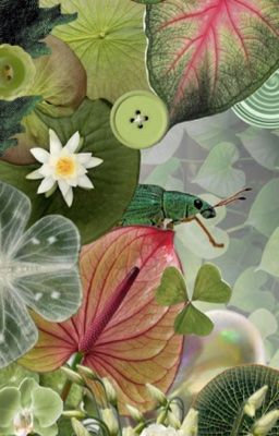 Жизнь Ростка