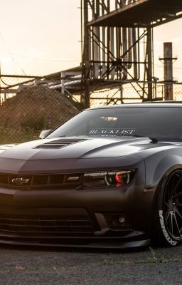 Гонки или жизнь?