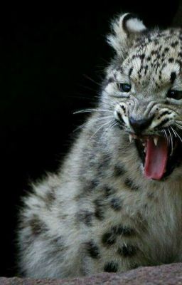 любовь с вампиром