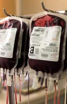 Ночные смены