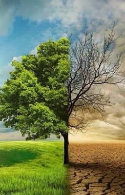 Безводный мир