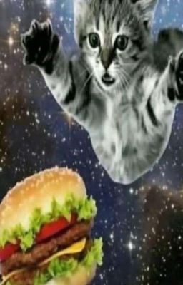 Грейпфрутовый пар на нас двоих.