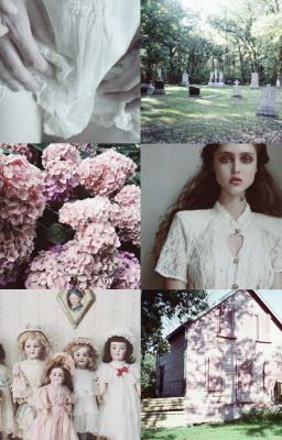 Рыбьи глаза