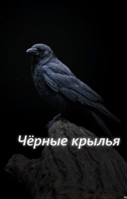 Чёрные крылья