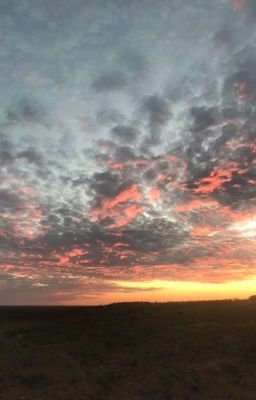 Клубок секретов . 