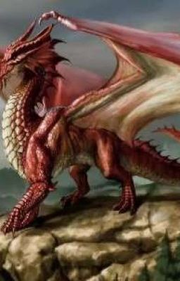 Из рода драконов. Потерянная Принцесса