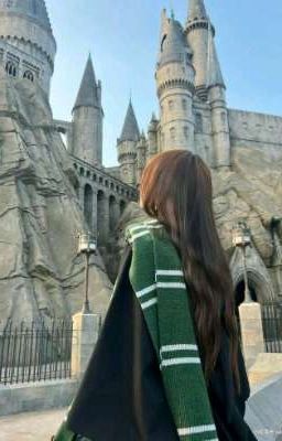 Сторми Рейд  и книга воспоминаний