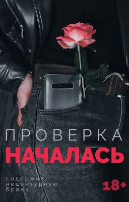 Проверка началась