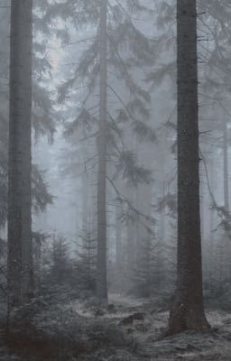 Лакомый кусочек