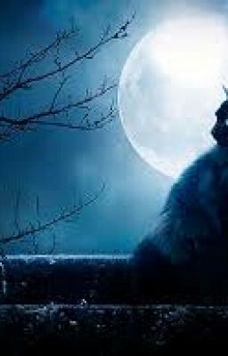 Гость Полнолуния