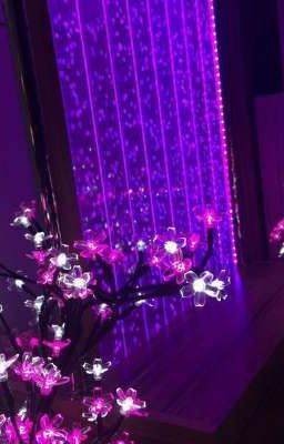 Небольшая история любви Макса и Насти❤