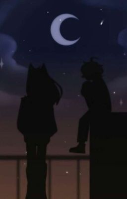 литоромантик