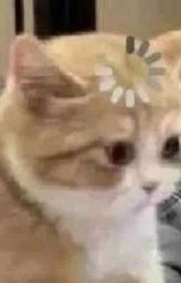 ~реакции по наруто~