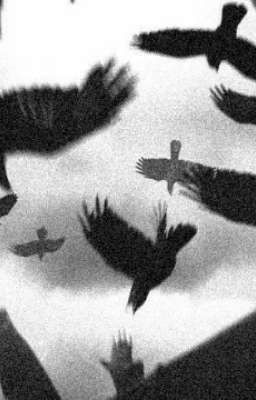 Университет вампиров