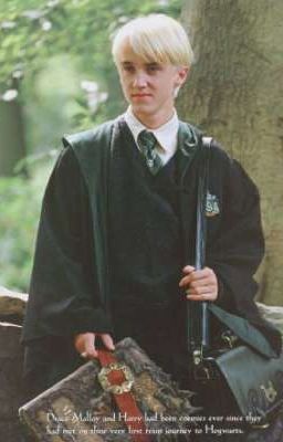 Прикрытый волосами шрам.