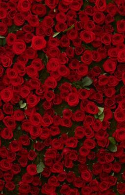 18 Лет Жизни..