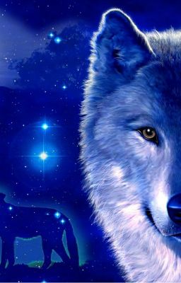 Волчья тайна