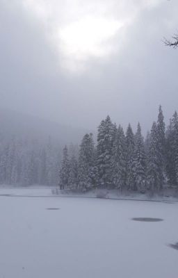 Котята, пахнущие материнским молоком