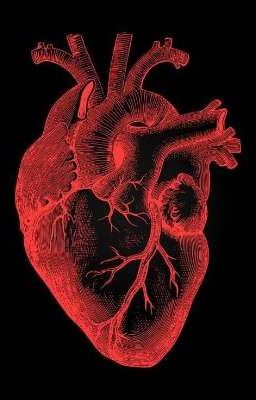 новенькая в университете